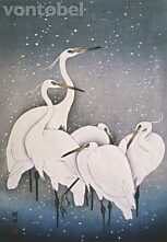 A Group of Egrets