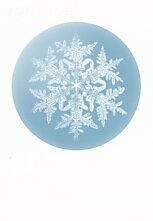 Flocon de neige stellaire No. 920